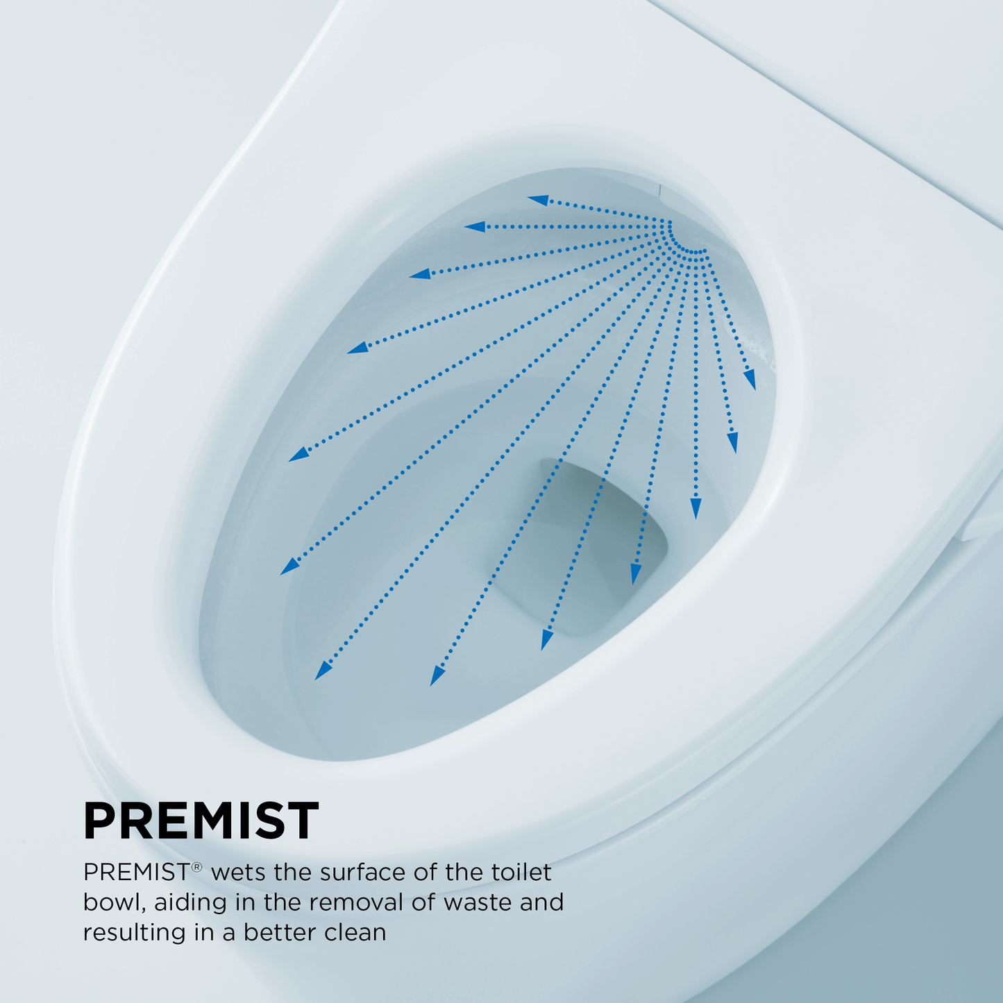 Diagram of PREMIST application on a toilet bowl with text explaining its function.