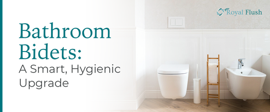 Stylish bathroom featuring modern bathroom bidets for a smart, hygienic upgrade.