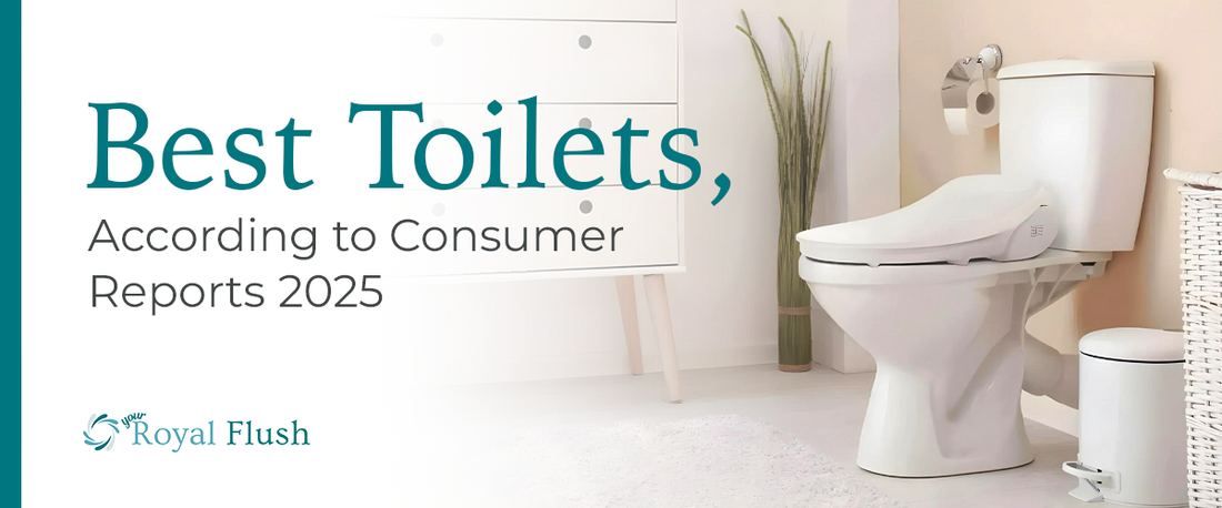 Best Toilets: A modern bathroom featuring a stylish toilet and decor, highlighting the best toilet options for 2025.