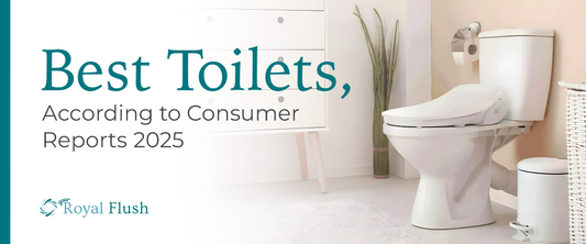 Best Toilets: A modern bathroom featuring a stylish toilet and decor, highlighting the best toilet options for 2025.