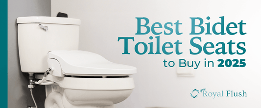 Best Bidet Toilet Seats to Buy