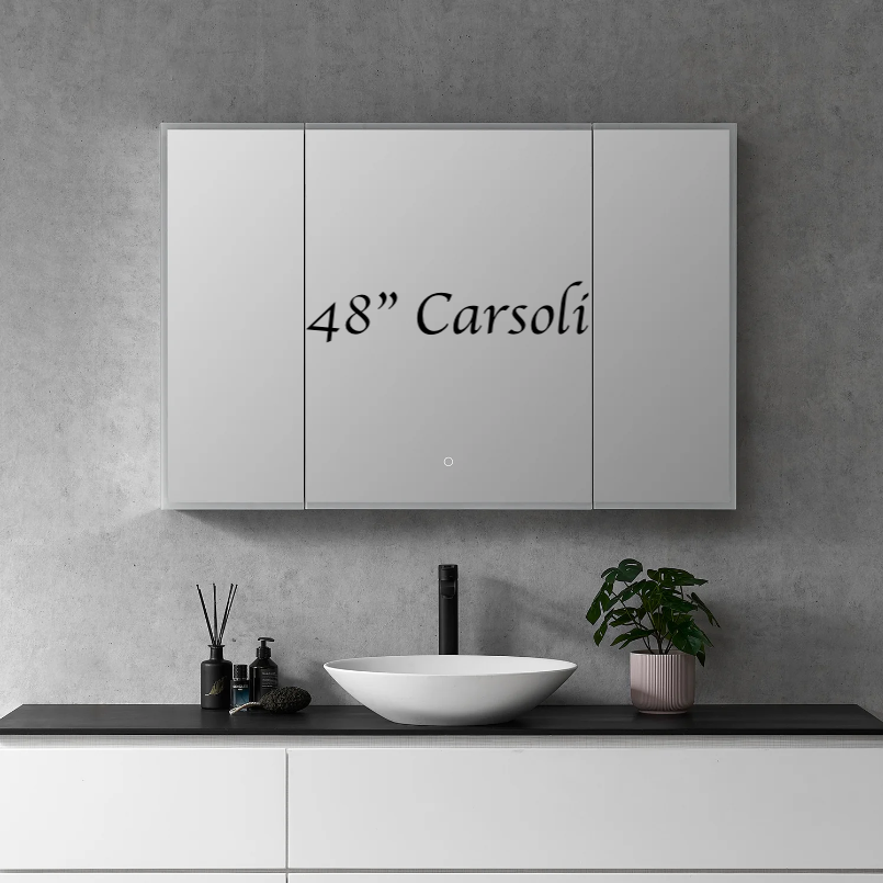 Carsoli Rectangle Frameless Surface/Recessed Mounted LED Lighted Bathroom Medicine Cabinet