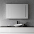 Catola 48" Rectangle Frameless Surface or Recessed Mounted LED Lighted Bathroom Medicine Cabinet
