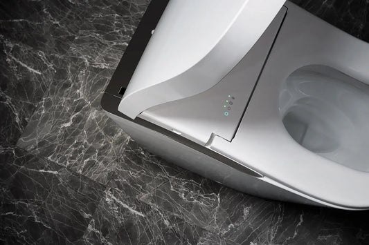 Modern toilet with a bidet attachment on a marble surface