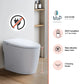 Horow T30 Non-Electric Bidet Toilet featuring ADA compliant height and non-electric bidet seat for ultimate comfort.