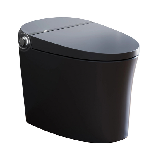 Horow T36 Smart Toilet with Dual Auto Flush and Matte Black Finish