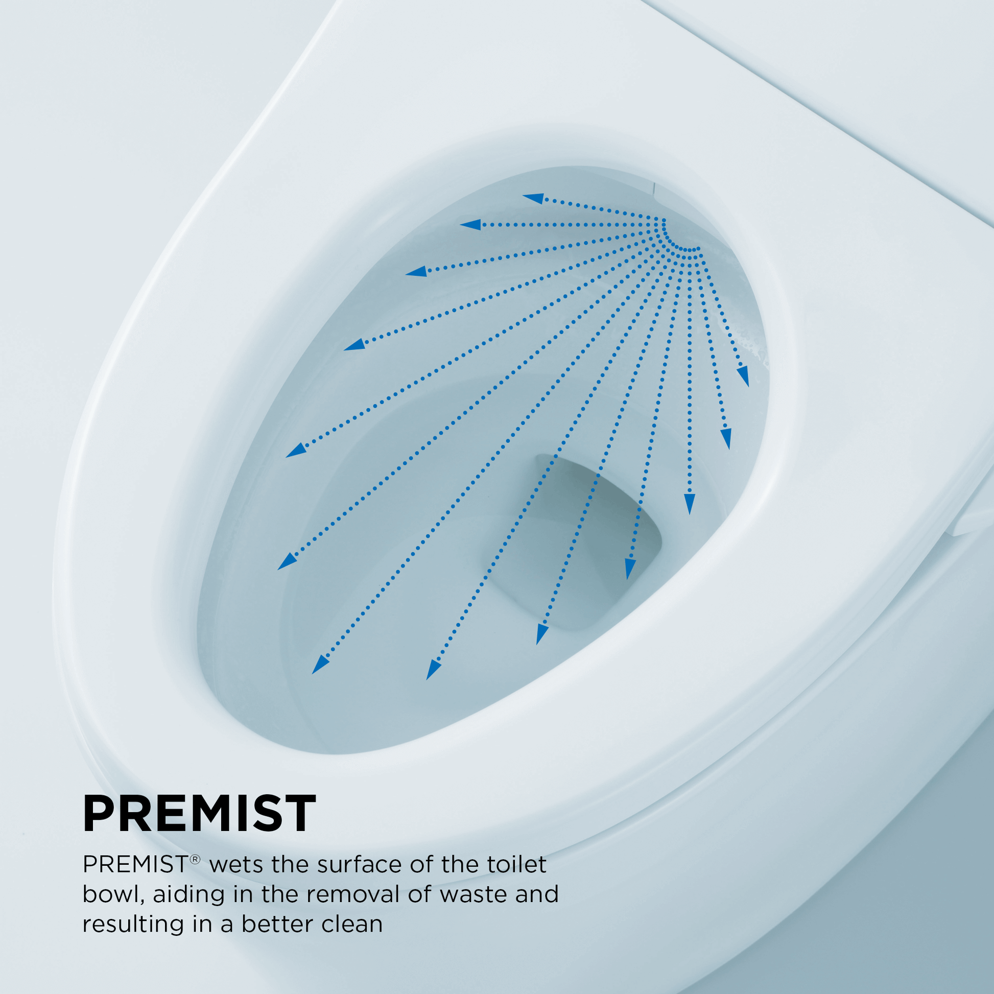 Diagram of PREMIST application on a toilet bowl with text explaining its function.